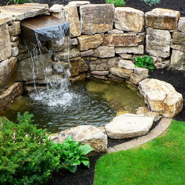 Gallery - Creative Roots Landscaping