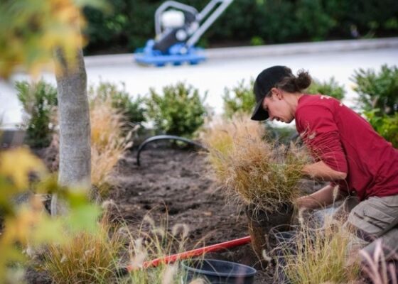 Landscape Construction Pre-Apprentice in Kelowna